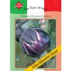 Thompson & Morgan Gemüsesamen > Samen Aubergine 'Melanzana'