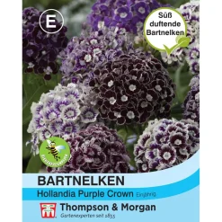 Thompson & Morgan Samen Bartnelken 'Purple Crown' Best