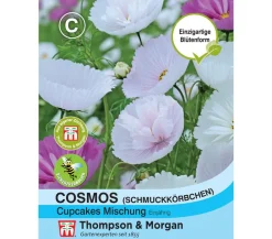 Thompson & Morgan Blumensamen - Samen Cosmos 'Cupcakes Mischung Lavendel