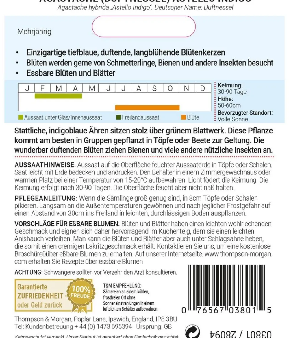 Thompson & Morgan Samen Duftnessel 'Astello Indigo' Blau Sale