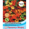 Thompson & Morgan Samen Kapuzinerkresse 'Kletternde Mischung' Best