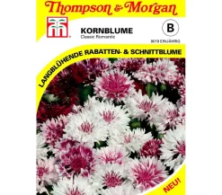 Thompson & Morgan Samen Kornblume 'Classic Romantic' Bunt Sale