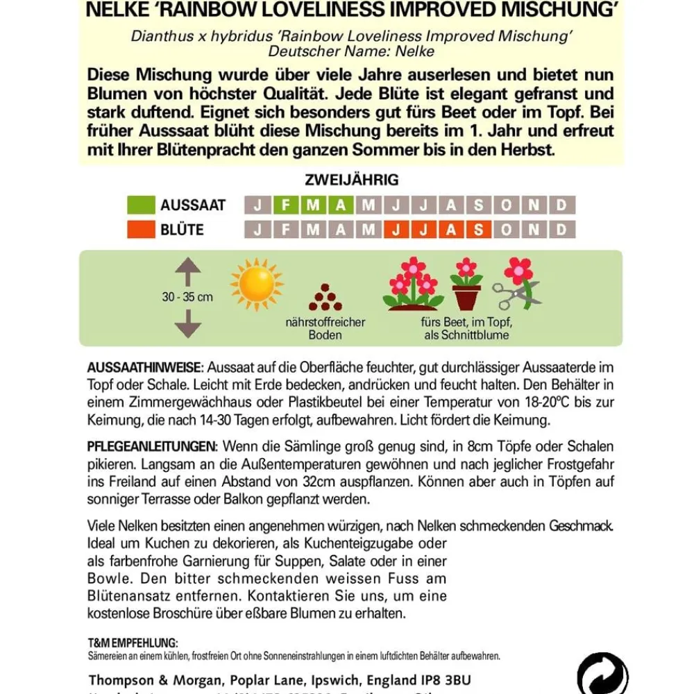 Thompson & Morgan Samen Nelke 'Rainbow Loveliness Improved Mischung' Sale