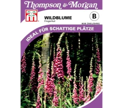 Thompson & Morgan Samen Wildblume 'Fingerhut' Sale