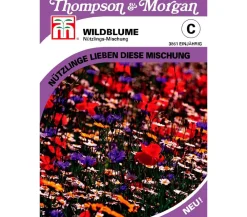 Thompson & Morgan Blumensamen - Samen Wildblume 'Nützlings-Mischung' Bunt