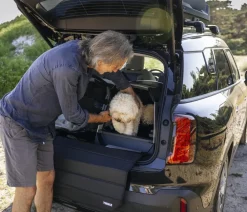 THULE® Allax threshold compatible L Compact Hundetransportbox für Fahrzeuge mit Ladekante, ca. B69/H70/T87-93 cm Online
