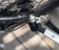 THULE® Mehr Transport & Unterwegs > Bexey Hunde-Fahrradanhänger, Hazy Green