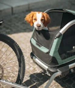 THULE® Mehr Transport & Unterwegs > Bexey Hunde-Fahrradanhänger, Hazy Green