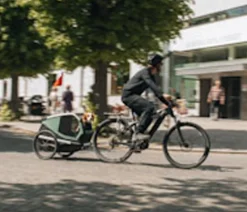 THULE® Mehr Transport & Unterwegs > Bexey Hunde-Fahrradanhänger, Hazy Green