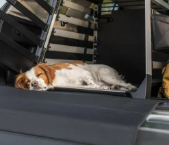 THULE® Mehr Transport & Unterwegs - Bodenmatte Dog Crate Mat Wide, ca. B110/H58,3 cm Schwarz