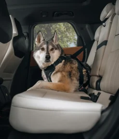 THULE® Mehr Transport & Unterwegs|Hundehalsbänder & Geschirre > Hundegechirr für Auto Cappy