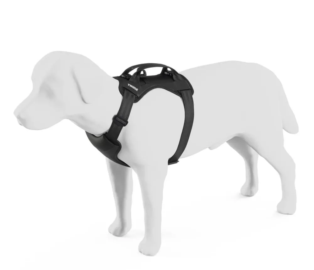 THULE® Hundegechirr für Auto Cappy Schwarz Hot