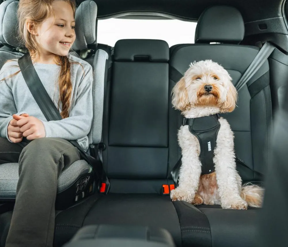 THULE® Hundegechirr für Auto Cappy Schwarz Hot