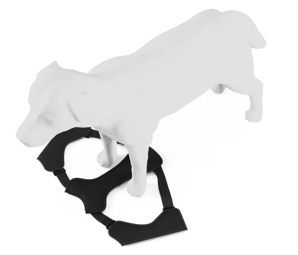 THULE® Hundegechirr für Auto Cappy Schwarz Hot