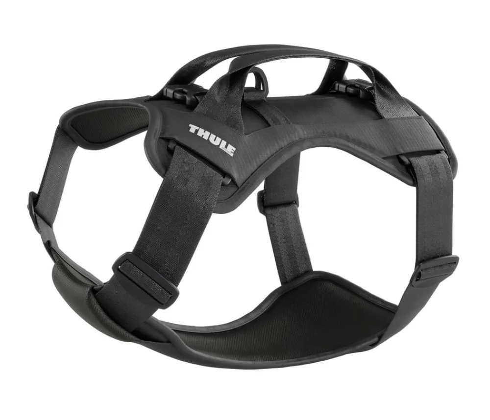 THULE® Hundegechirr für Auto Cappy Schwarz Hot