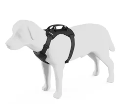THULE® Mehr Transport & Unterwegs|Hundehalsbänder & Geschirre - Hundegechirr für Auto Cappy Schwarz