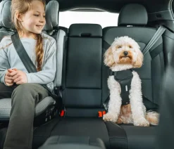 THULE® Mehr Transport & Unterwegs|Hundehalsbänder & Geschirre - Hundegechirr für Auto Cappy Schwarz
