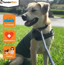 THUNDERSHIRT® Mehr Hundezubehör|Mehr Transport & Unterwegs - Hunde-Beruhigungsweste Grau