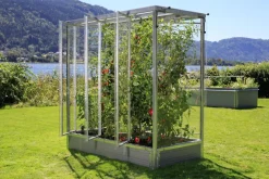 Buttazoni Gewächshäuser > Tomatenhaus Julia, ca. B195/H200/T99 cm