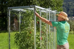 Buttazoni Gewächshäuser > Tomatenhaus Julia, ca. B195/H200/T99 cm