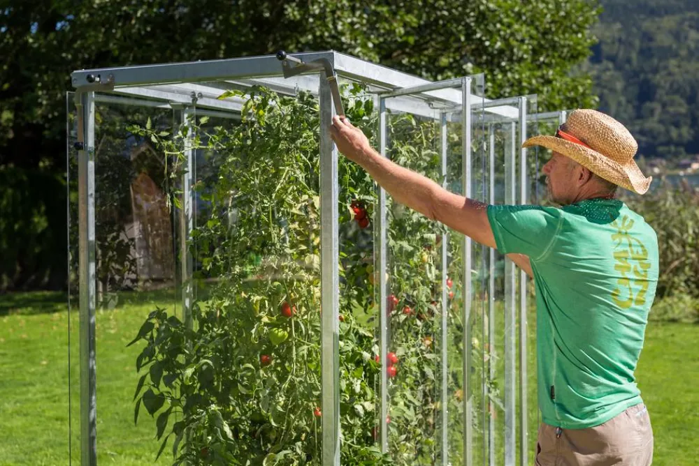 Buttazoni Gewächshäuser > Tomatenhaus Julia, ca. B195/H200/T99 cm