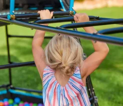 TP Toys Gartenspielgeräte - Spielturm Explorer, ca. B208/H201/T306 cm Schwarz