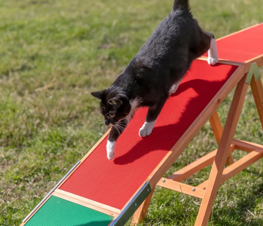 Trixie Hundespielzeug > Agility Steg Fun, ca. B30/H64/T456 cm