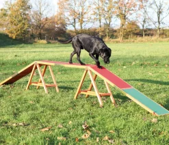Trixie Hundespielzeug > Agility Steg Fun, ca. B30/H64/T456 cm