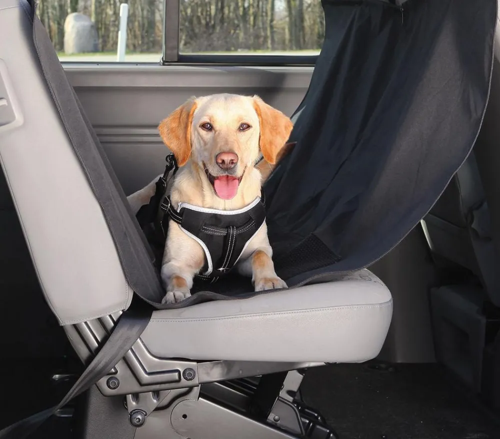 Trixie Mehr Transport & Unterwegs|Hundedecken > Auto-Schondecke, ca. B150/T135cm