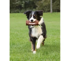 Trixie Mehr Hundezubehör|Hundespielzeug - Dog Activity Hundespielzeug Preydummy Braun