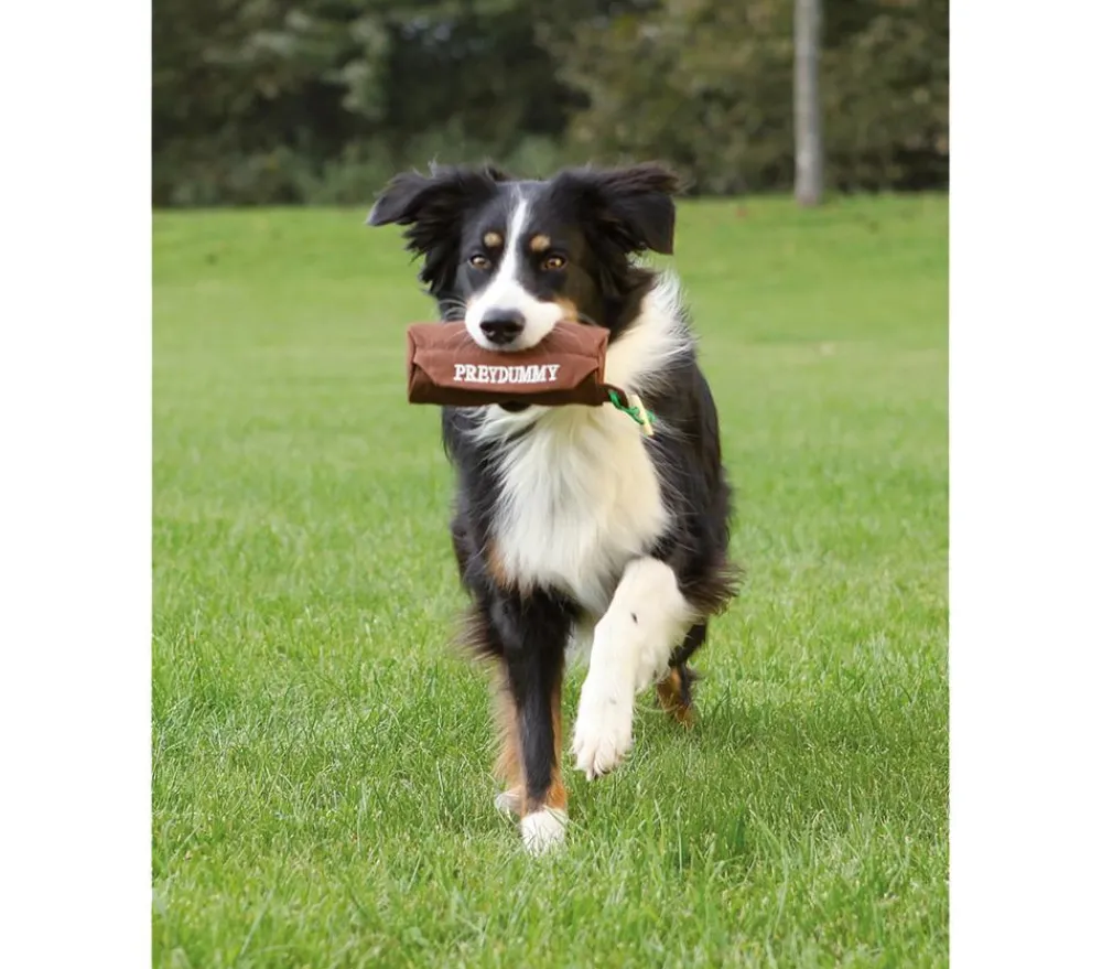 Trixie Mehr Hundezubehör|Hundespielzeug - Dog Activity Hundespielzeug Preydummy Braun