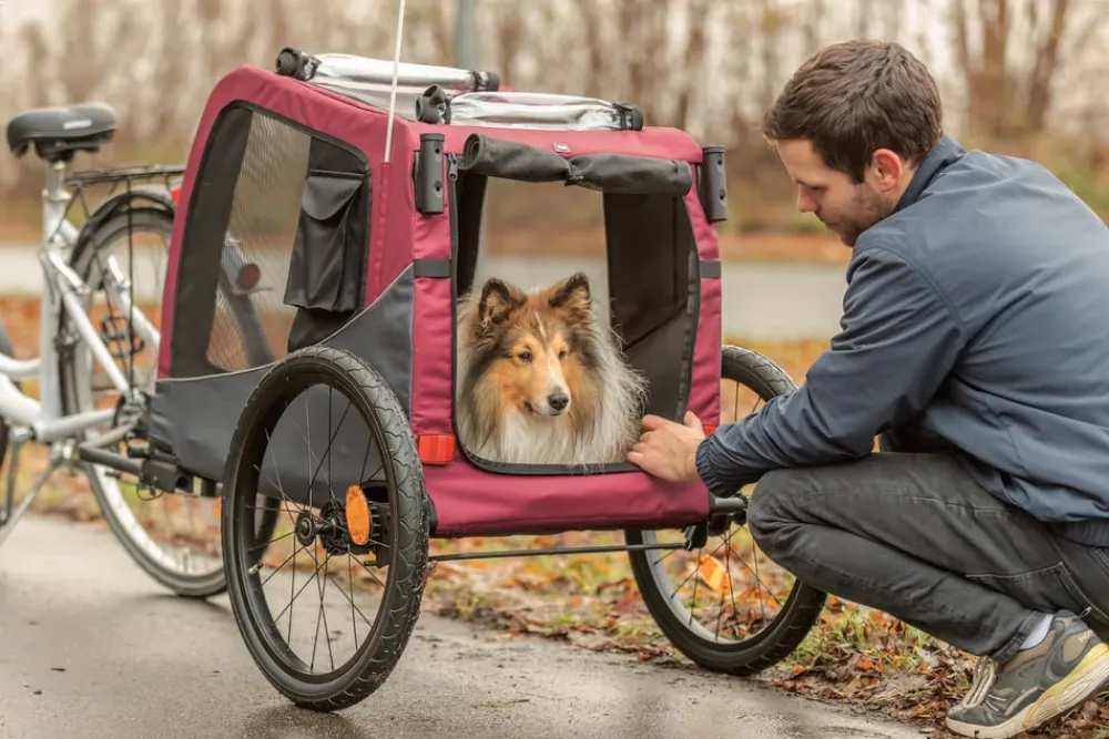 Trixie Fahrradanhänger für den Hund, / Discount