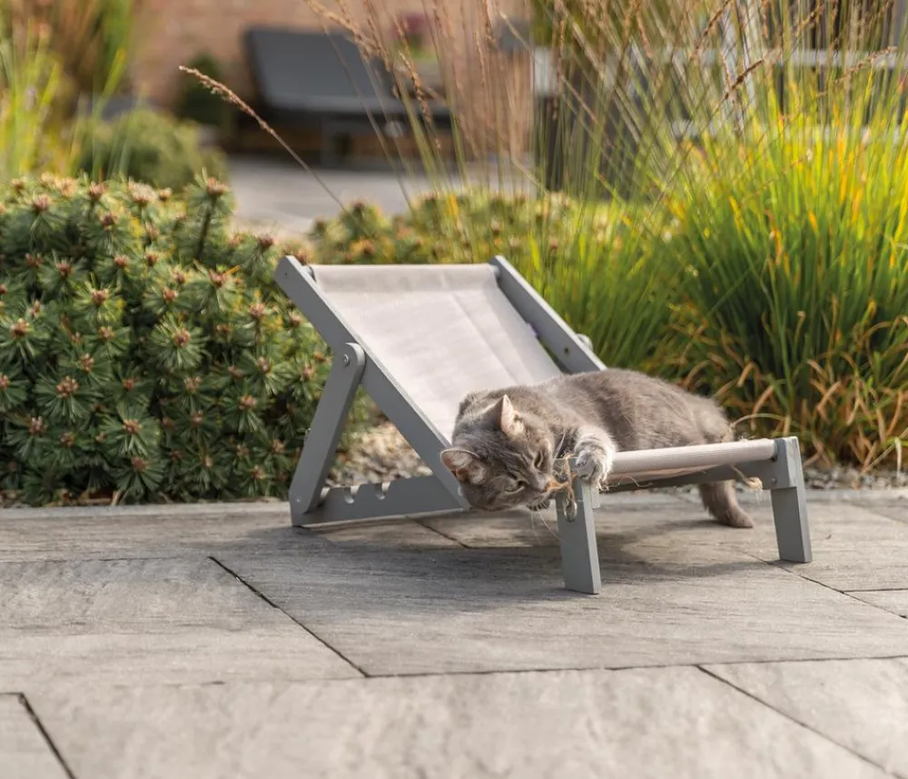 Trixie Holz-Strandstuhl für Katzen, ca. B33/H37/T51 cm Grau Best