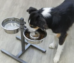 Trixie Hundenäpfe & Tränken|Artikel Zur Nachsorge - Hundebar
