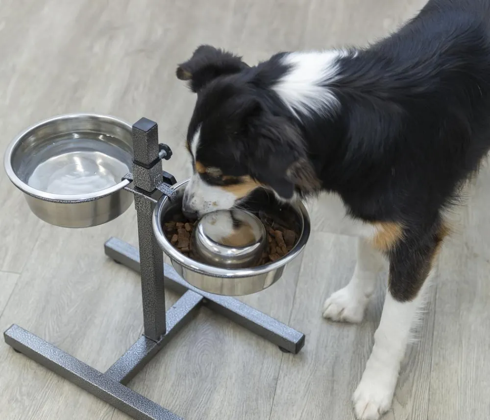 Trixie Hundenäpfe & Tränken|Artikel Zur Nachsorge - Hundebar