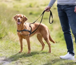 Trixie Hundegeschirr Lead'n'Walk Soft, Schwarz Best