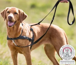Trixie Hundegeschirr Lead'n'Walk Soft, Schwarz Best