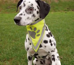 Trixie Mehr Hundezubehör|Mehr Transport & Unterwegs - Hunde-Halstuch Safer Life Gelb