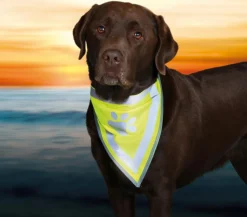 Trixie Mehr Hundezubehör|Mehr Transport & Unterwegs - Hunde-Halstuch Safer Life Gelb