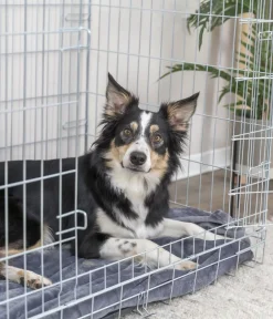 Trixie Hundekäfig it 2 Türen, Online