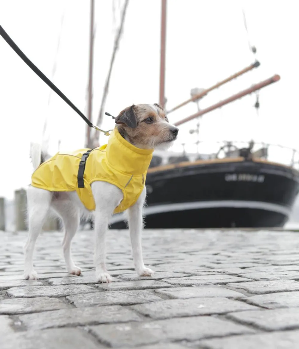Trixie Mehr Hundezubehör > Hunde-Regenmantel Vimy
