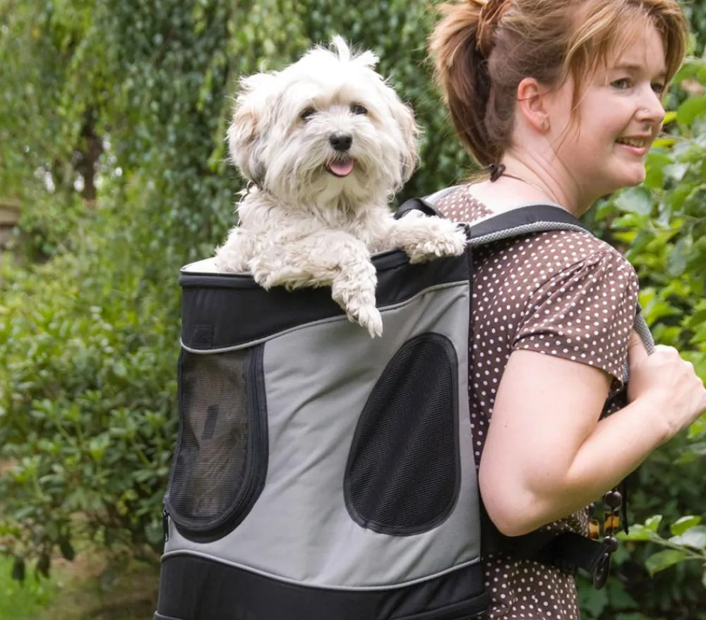 Trixie Mehr Katzenzubehör|Hundetransportboxen > Hunderucksack Timon, ca. B30/H44/T34 cm