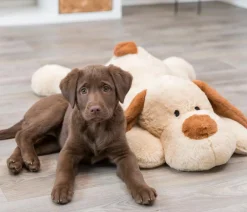 Trixie Hundespielzeug Ankuschelhund Benny Discount