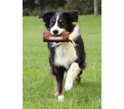 Trixie Hundespielzeug - Hundespielzeug Dog Activity Preydummy Braun