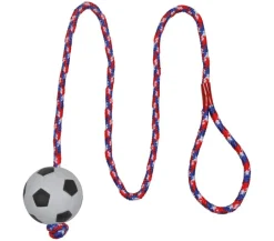 Trixie Hundespielzeug > Hundespielzeug Moosgummifußball am Seil, ca. Ø6 cm