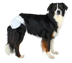 Trixie Hygiene- & Reinigungsartikel|Hundepflege & Hygiene - Hundewinden, 12 Stück