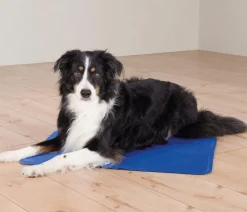 Trixie Mehr Transport & Unterwegs|Hundedecken - Kühlmatte, rechteckig, Blau