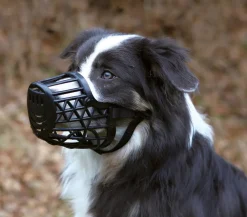 Trixie Mehr Hundezubehör|Mehr Transport & Unterwegs > aukorb für Hunde