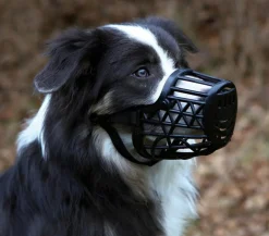 Trixie aukorb für Hunde Schwarz Online