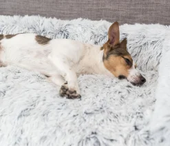 Trixie Hundedecken|Katzenbetten & Katzenkissen - Polster-Schondecke Harvey, rechteckig, grau/-